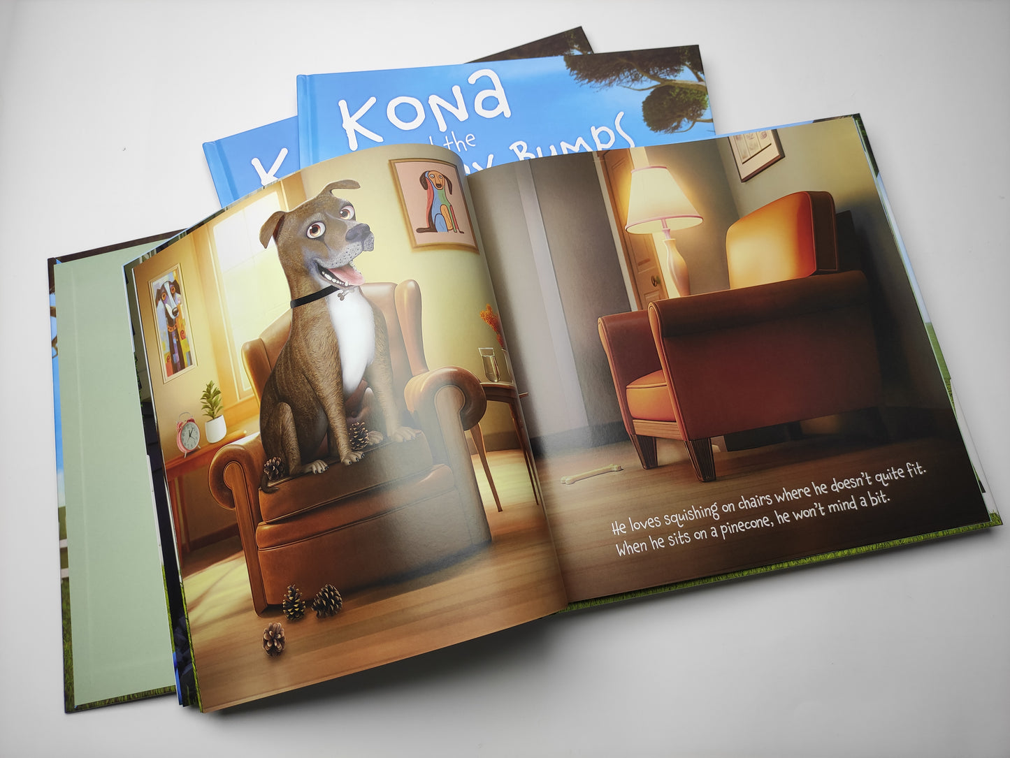 KONA & THE LUMPY BUMPS HARD COVER